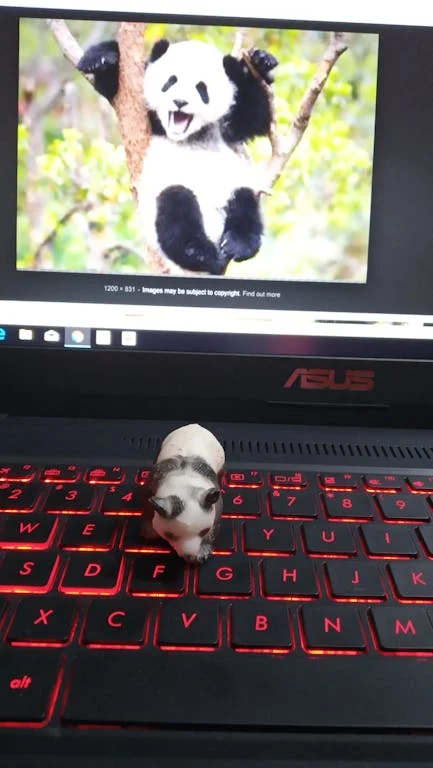 Capella Singapore 객실 및 시설