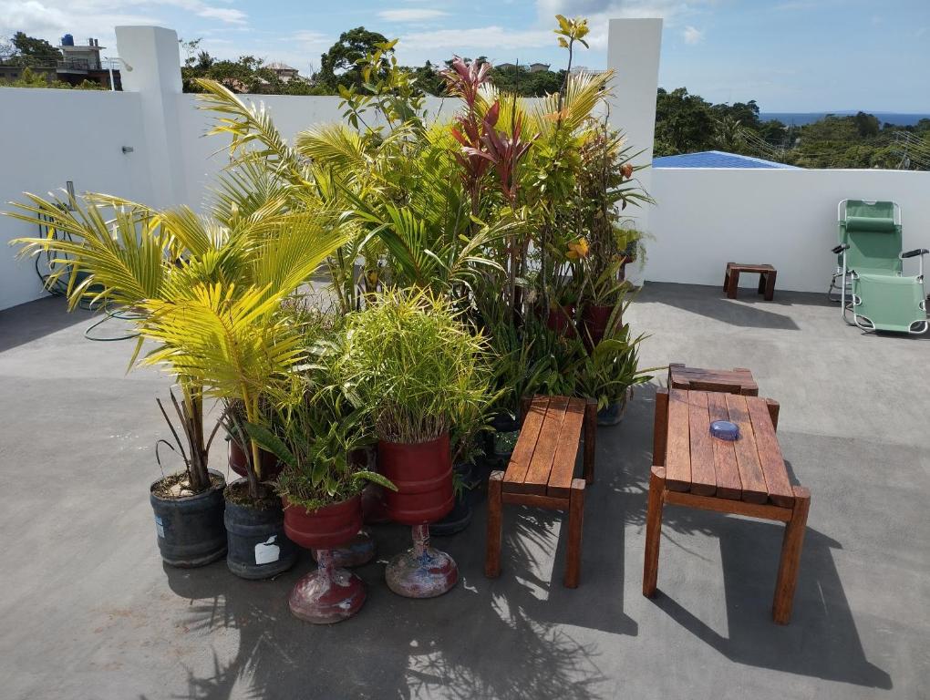 로저 플레이스 게스트 하우스 (Roger's Place Guesthouse) 서비스 품질