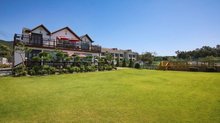 인천 강화도 황금노을펜션에서의 특별한 경험 (2026)