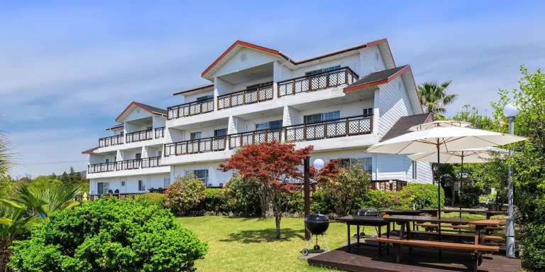 서귀포 투데이 펜션 리뷰 - 제주에서의 특별한 경험 2026