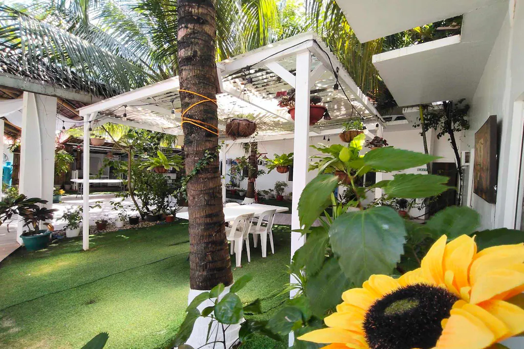 보라카이 백패커스 (Boracay Backpackers) 호텔 전경