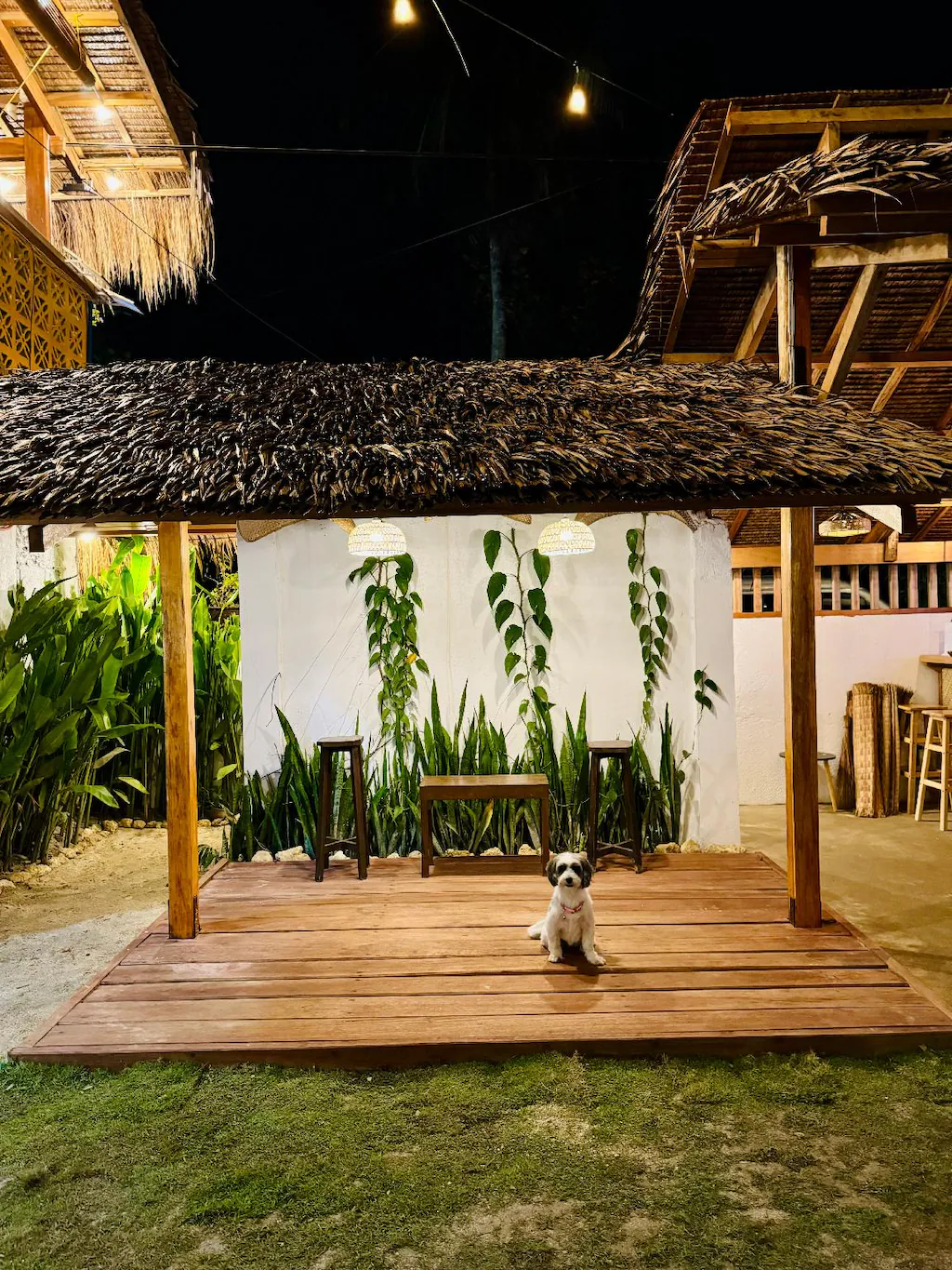 제네랄 루나의 스튜디오 아파트먼트 (25m², 프라이빗 욕실 1개) (Matanjak Tropical Guesthouse 8) 객실 및 시설