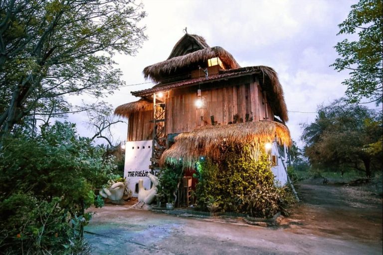 롬복 The Rabbit Tree Hostel 2026년 추천 숙소