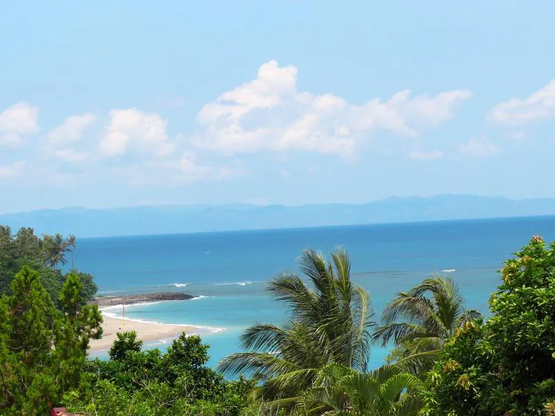 푸리 붕가 비치 코티지 호텔 (Puri Bunga Beach Cottages Hotel) 호텔 전경